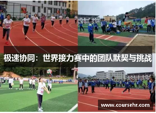 极速协同：世界接力赛中的团队默契与挑战