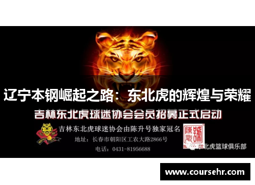 辽宁本钢崛起之路：东北虎的辉煌与荣耀