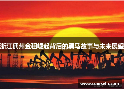 浙江稠州金租崛起背后的黑马故事与未来展望 浙江稠州金租崛起背后的黑马故事与未来展望
